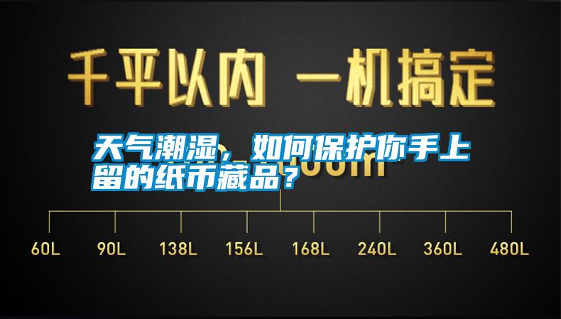 天氣潮濕，如何保護(hù)你手上留的紙幣藏品？