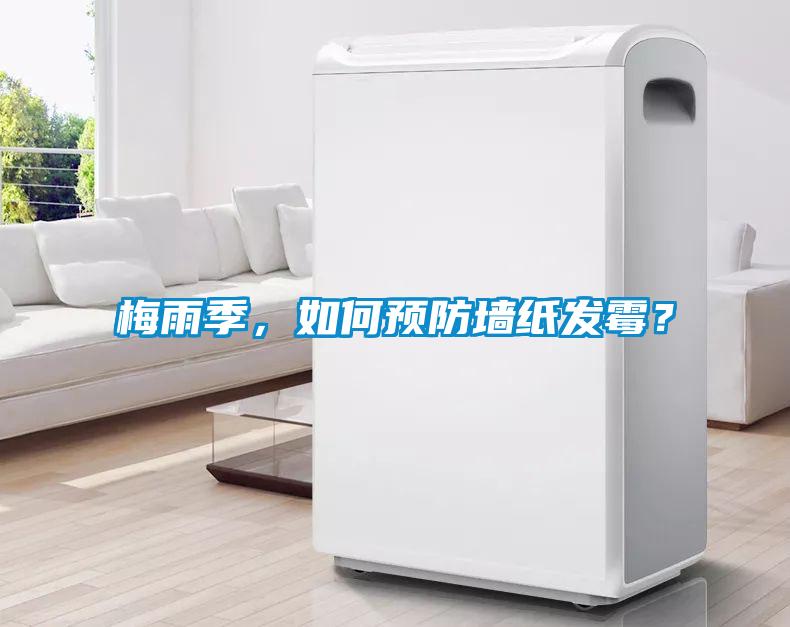 梅雨季，如何預(yù)防墻紙發(fā)霉？
