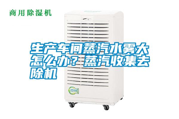 生產(chǎn)車間蒸汽水霧大怎么辦？蒸汽收集去除機(jī)