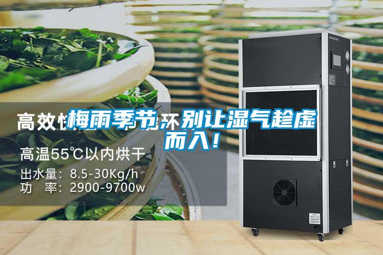 梅雨季節(jié)，別讓濕氣趁虛而入！