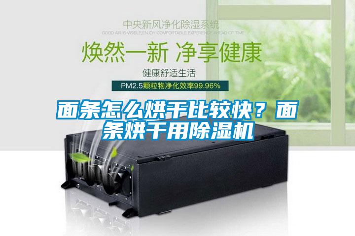 面條怎么烘干比較快？面條烘干用除濕機