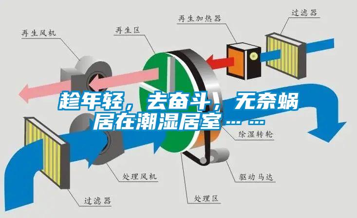趁年輕，去奮斗，無奈蝸居在潮濕居室……