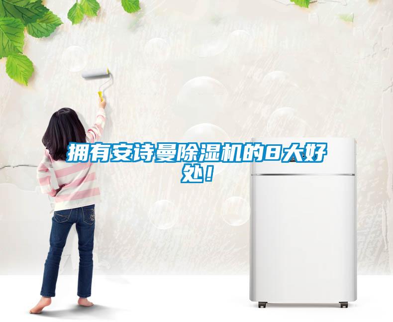 擁有安詩(shī)曼除濕機(jī)的8大好處！
