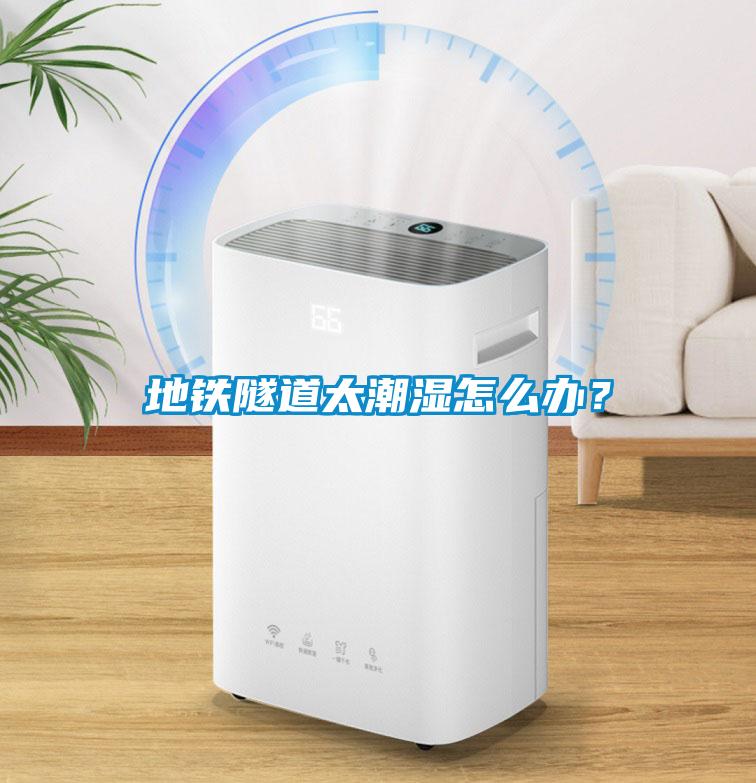 地鐵隧道太潮濕怎么辦？