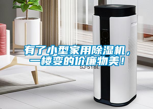 有了小型家用除濕機(jī)，一樓變的價(jià)廉物美！