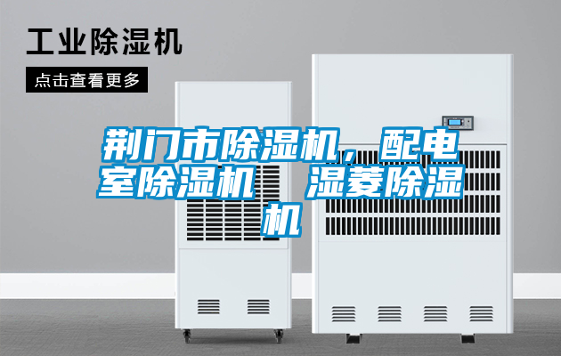 荊門市除濕機(jī)，配電室除濕機(jī)  濕菱除濕機(jī)