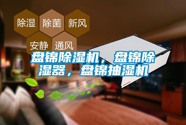 盤(pán)錦除濕機(jī)，盤(pán)錦除濕器，盤(pán)錦抽濕機(jī)