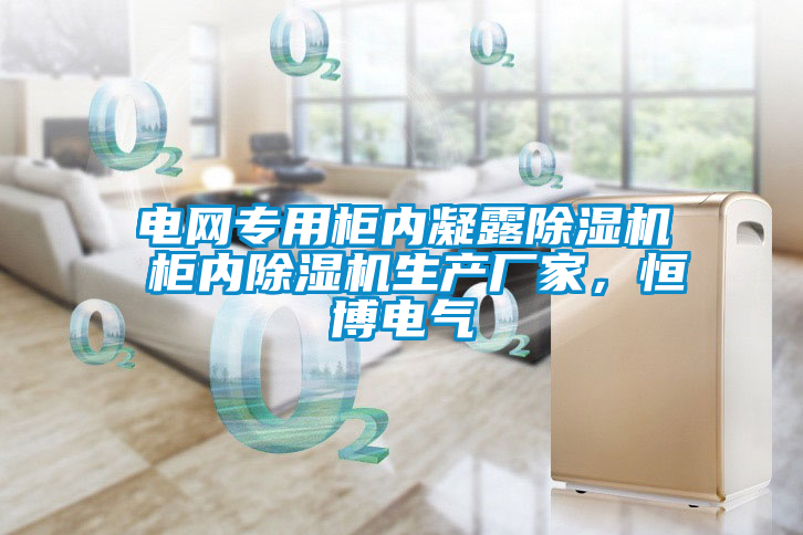 電網(wǎng)專用柜內(nèi)凝露除濕機 柜內(nèi)除濕機生產(chǎn)廠家，恒博電氣