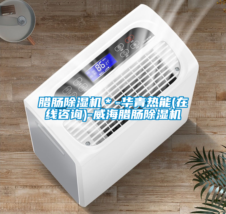 臘腸除濕機(jī)＊-華青熱能(在線咨詢(xún))-威海臘腸除濕機(jī)