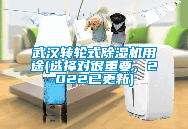 武漢轉(zhuǎn)輪式除濕機(jī)用途(選擇對很重要，2022已更新)