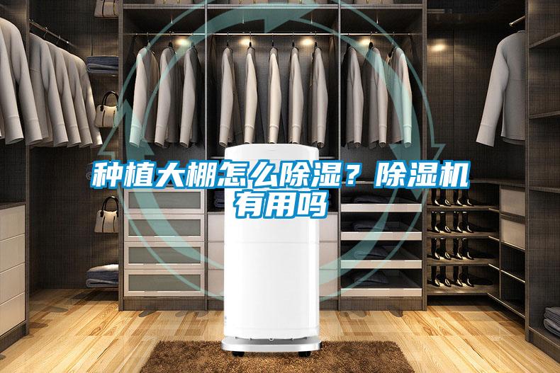 種植大棚怎么除濕？除濕機(jī)有用嗎