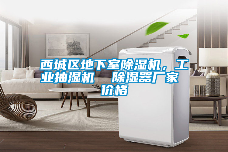西城區(qū)地下室除濕機(jī)，工業(yè)抽濕機(jī)  除濕器廠家 價(jià)格