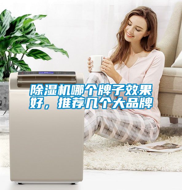 除濕機(jī)哪個牌子效果好，推薦幾個大品牌