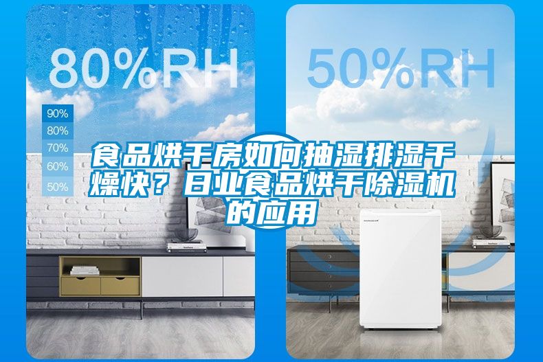 食品烘干房如何抽濕排濕干燥快？日業(yè)食品烘干除濕機的應用