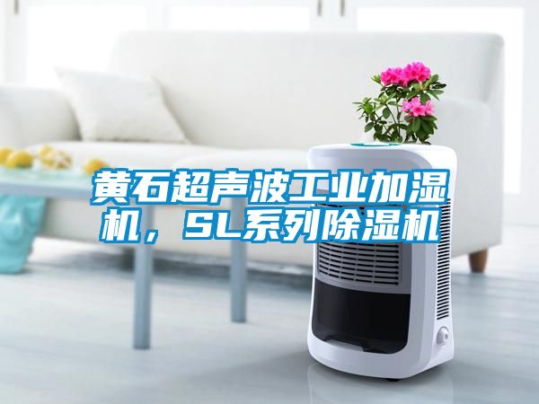 黃石超聲波工業(yè)加濕機，SL系列除濕機