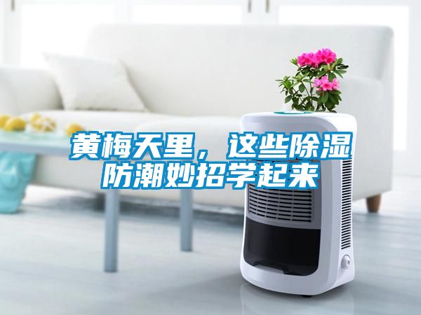 黃梅天里，這些除濕防潮妙招學(xué)起來