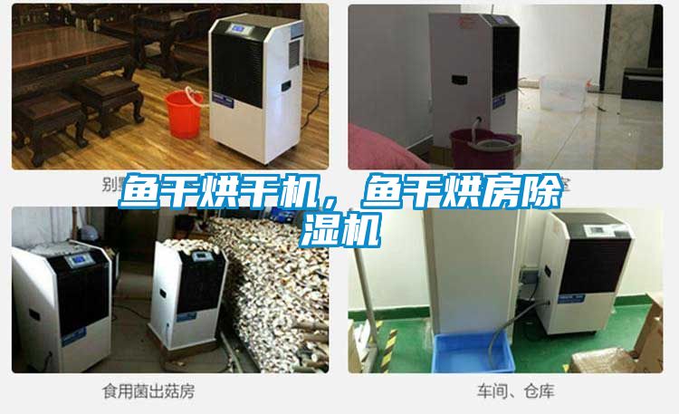 魚干烘干機，魚干烘房除濕機