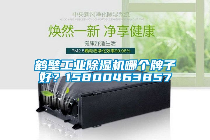 鶴壁工業(yè)除濕機(jī)哪個(gè)牌子好？15800463857