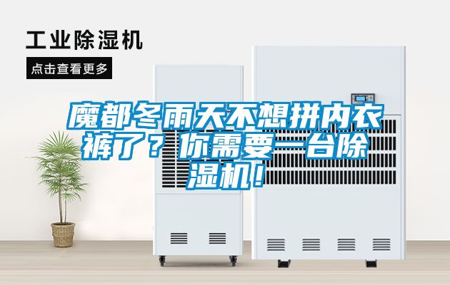 魔都冬雨天不想拼內衣褲了？你需要一臺除濕機！