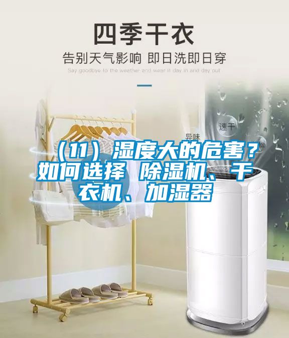 （11）濕度大的危害？如何選擇 除濕機(jī)、干衣機(jī)、加濕器