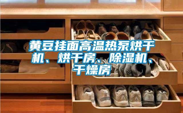 黃豆掛面高溫?zé)岜煤娓蓹C(jī)、烘干房、除濕機(jī)、干燥房