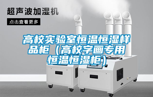 高校實(shí)驗室恒溫恒濕樣品柜（高校字畫專用恒溫恒濕柜）