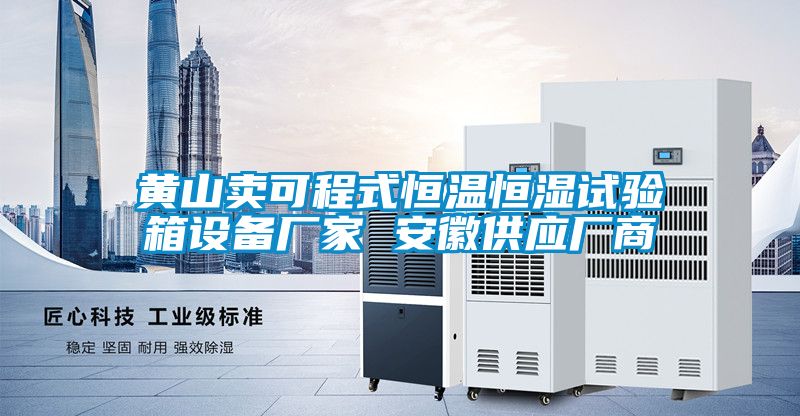 黃山賣(mài)可程式恒溫恒濕試驗(yàn)箱設(shè)備廠(chǎng)家 安徽供應(yīng)廠(chǎng)商